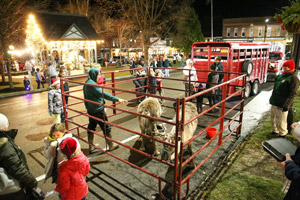 Christmas in the Park comes to Hammondsport