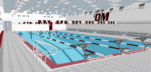 Vote will determine swimming pool project